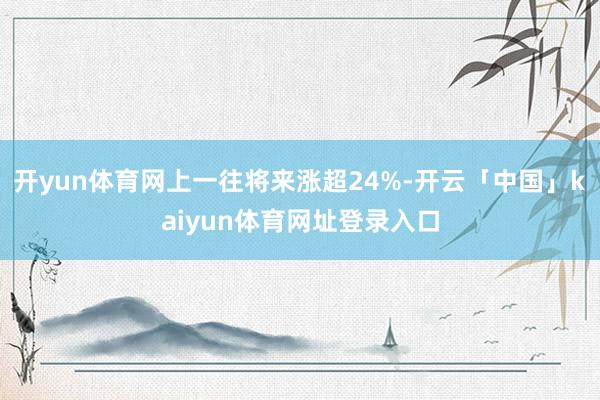 开yun体育网上一往将来涨超24%-开云「中国」kaiyun体育网址登录入口