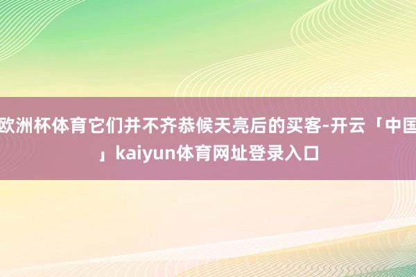 欧洲杯体育它们并不齐恭候天亮后的买客-开云「中国」kaiyun体育网址登录入口