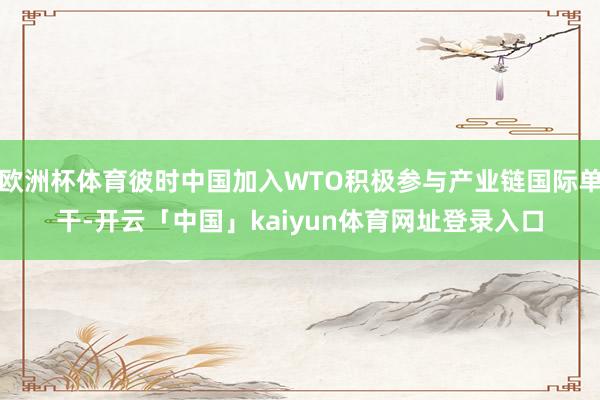 欧洲杯体育彼时中国加入WTO积极参与产业链国际单干-开云「中国」kaiyun体育网址登录入口